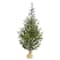 5ft. Pre-Lit Fraser Fir Natural Look Artificial Christmas Tree with Clear LED Lights
